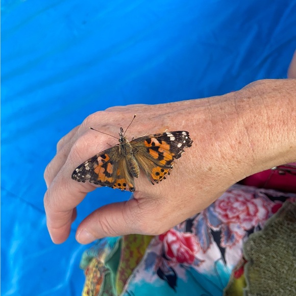 CC @SpaBloomFlow SHARE Show is LIVE πΌπΆβοΈβ»οΈ - Picture 12 of 14